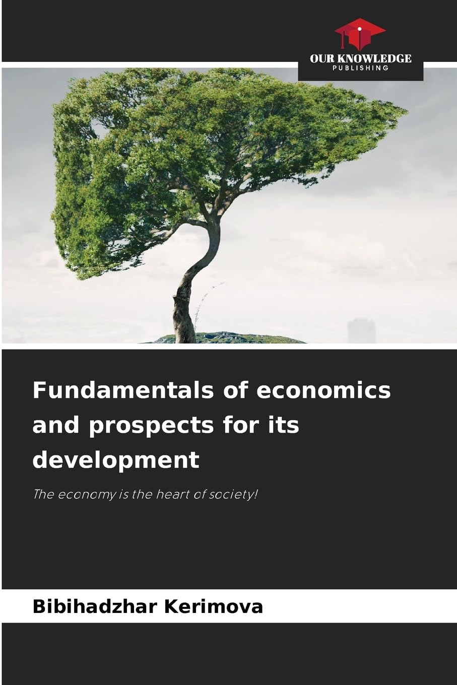 Fundamentals of economics and prospects for its development Books