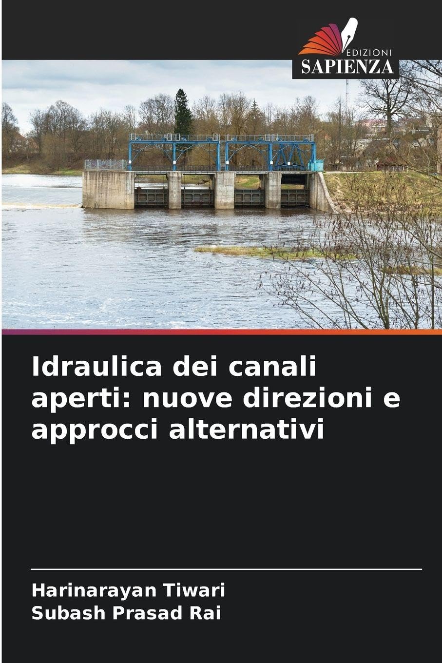 Idraulica dei canali aperti: nuove direzioni e approcci alternativi Business & Technology