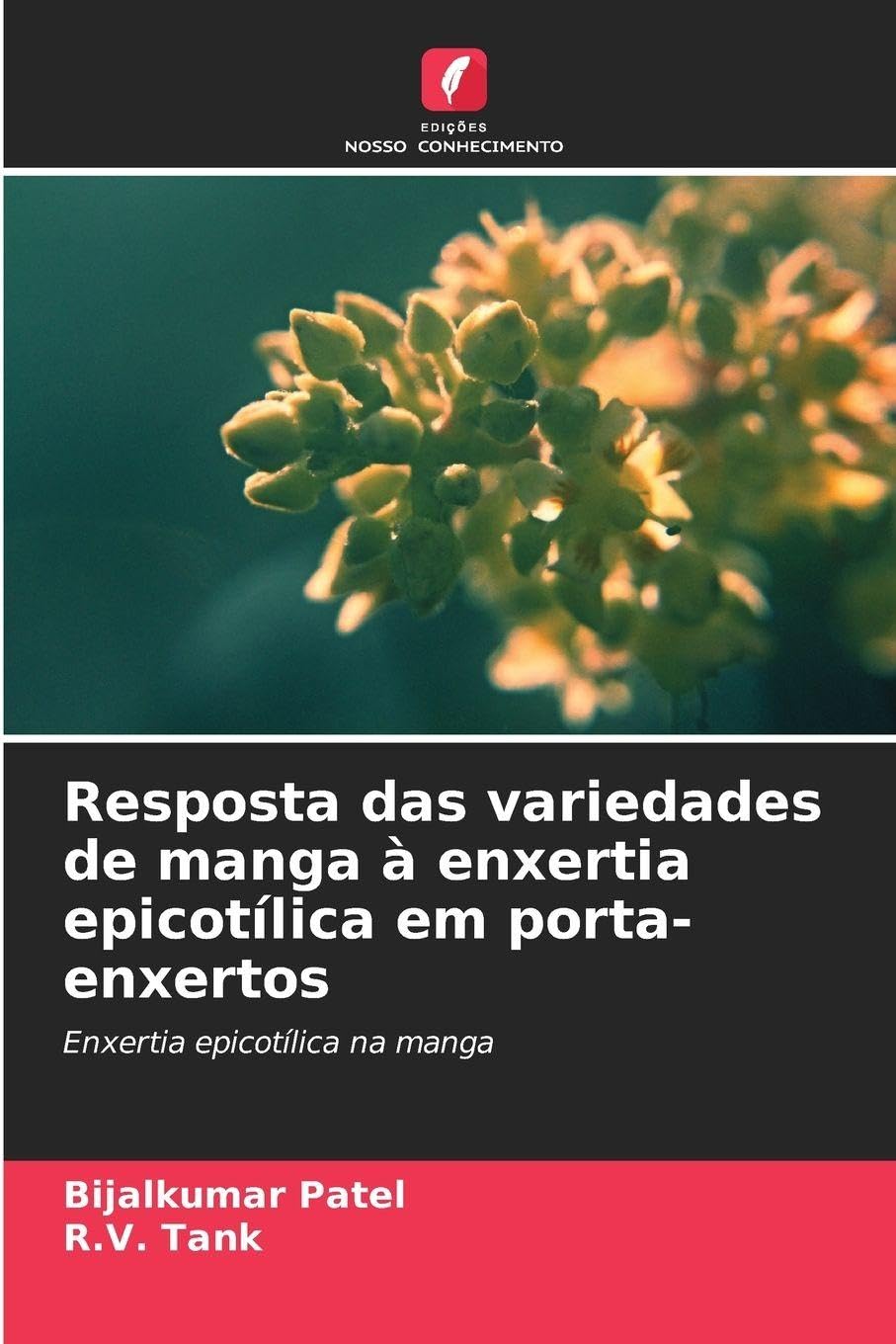 Resposta das variedades de manga à enxertia epicotílica em porta-enxertos Manga