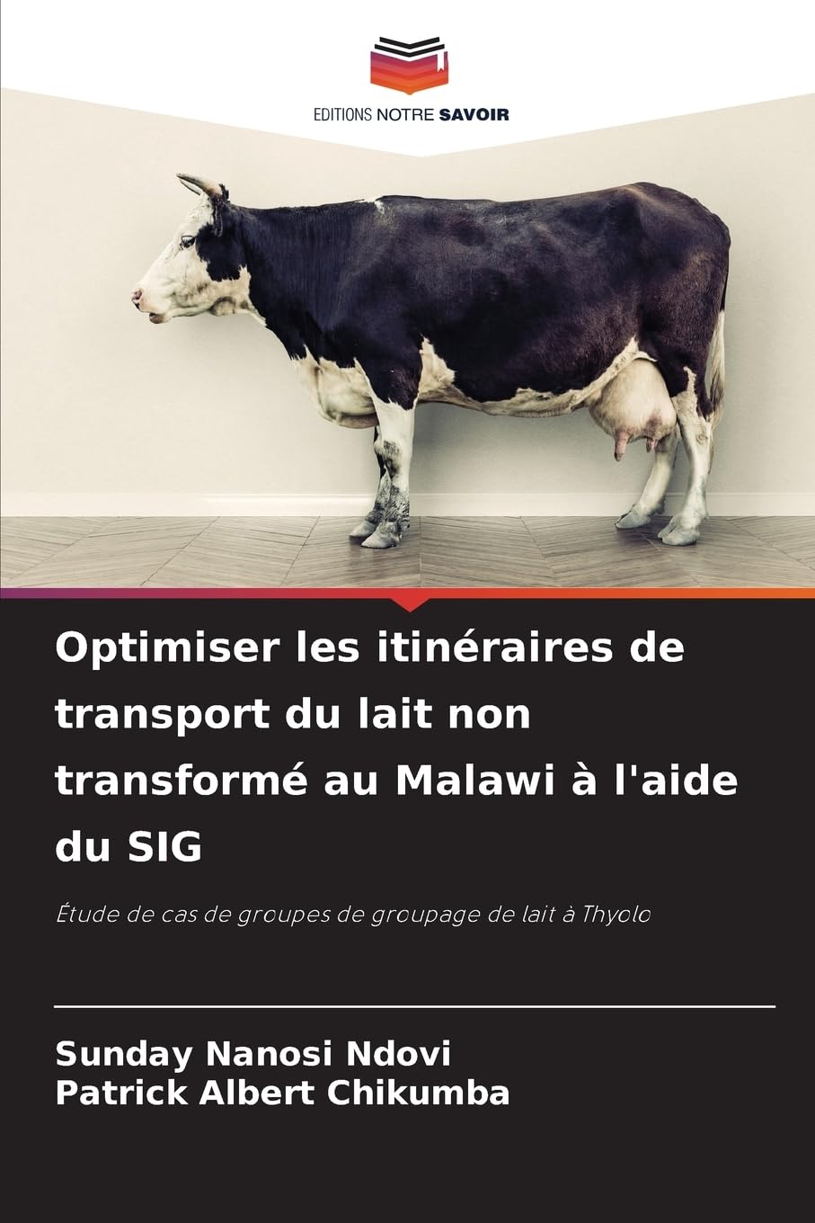 Optimiser les itinéraires de transport du lait non transformé au Malawi à l'aide du SIG Computer Science