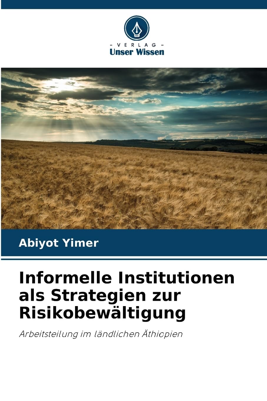 Informelle Institutionen als Strategien zur Risikobewältigung Law