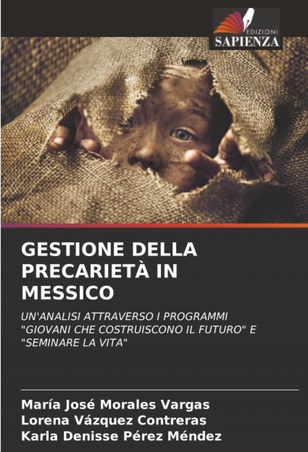 GESTIONE DELLA PRECARIETÀ IN MESSICO Law