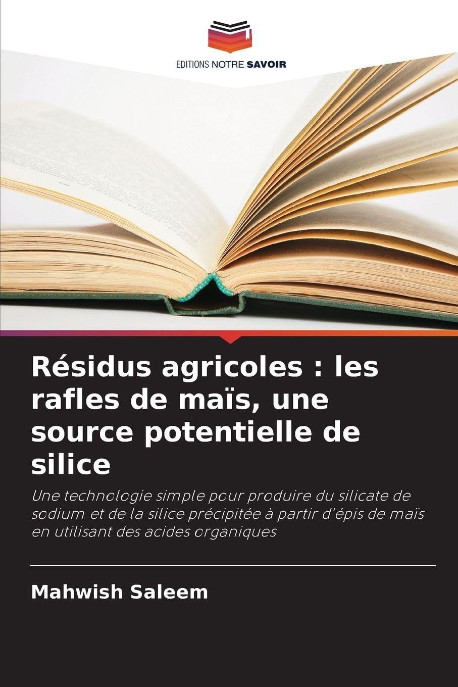 Résidus agricoles : les rafles de maïs, une source potentielle de silice Business & Technology