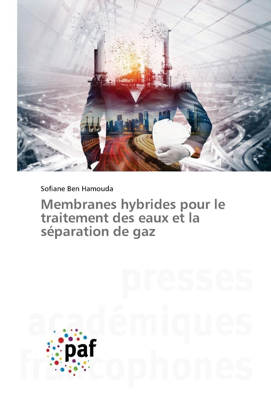 Membranes hybrides pour le traitement des eaux et la séparation de gaz Business & Technology