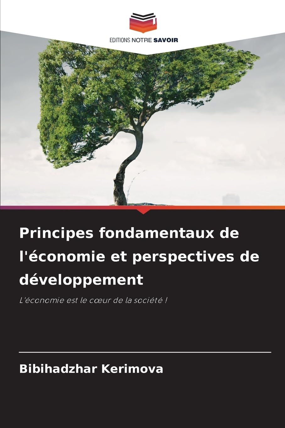 Principes fondamentaux de l'économie et perspectives de développement Books