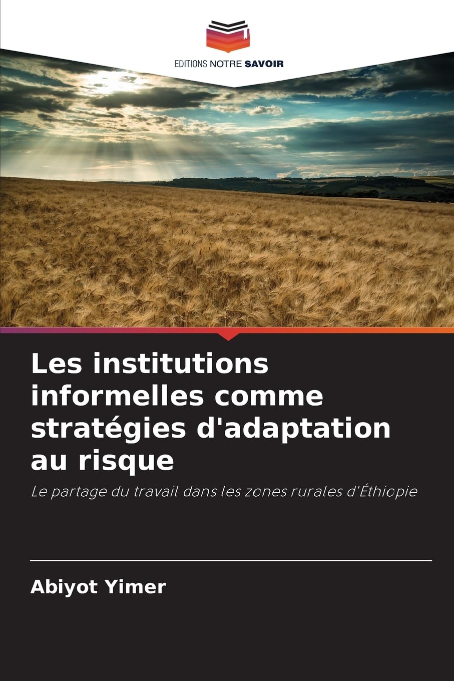 Les institutions informelles comme stratégies d'adaptation au risque Law