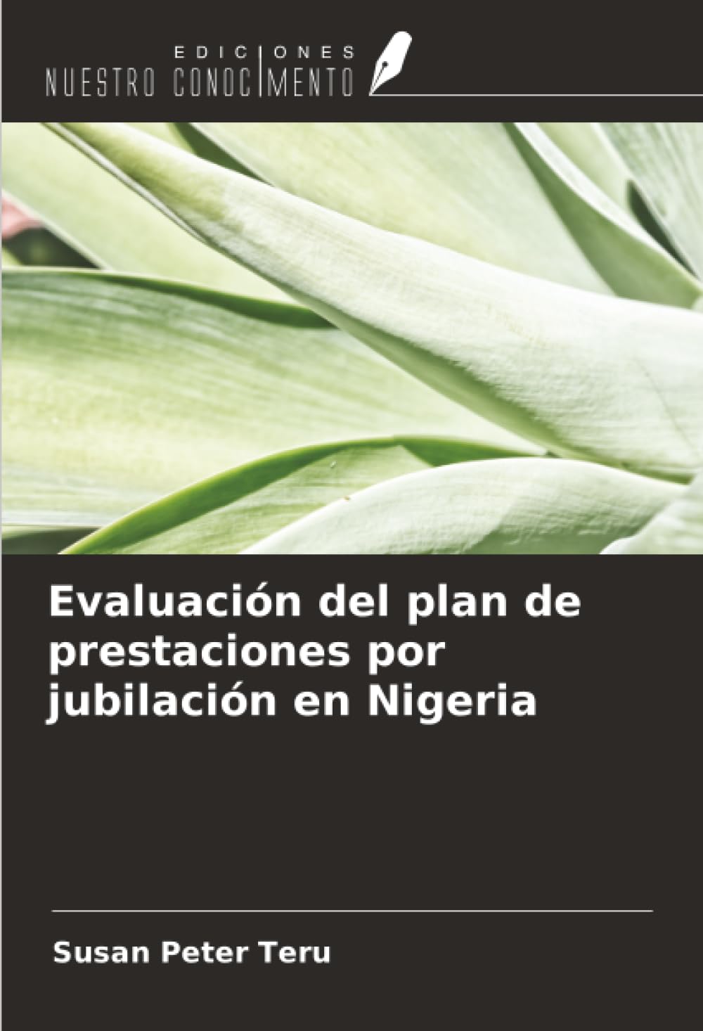 Evaluación del plan de prestaciones por jubilación en Nigeria Business, Finance & Career