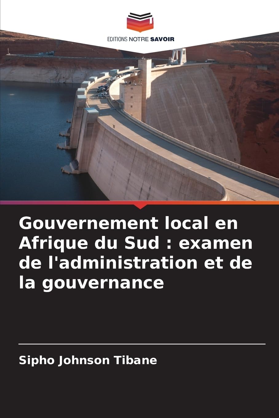 Gouvernement local en Afrique du Sud : examen de l'administration et de la gouvernance Law