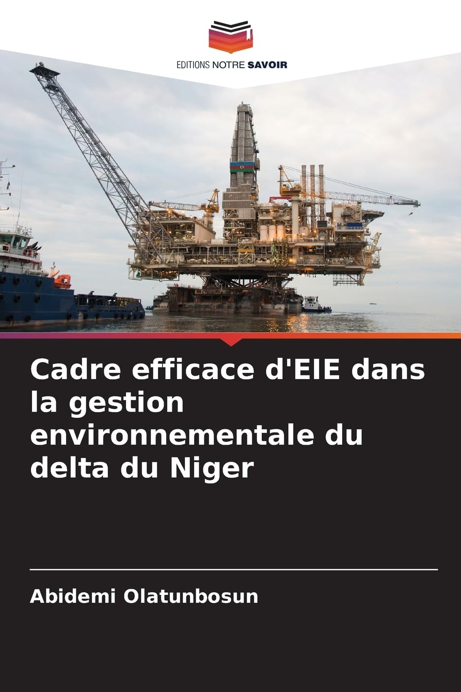Cadre efficace d'EIE dans la gestion environnementale du delta du Niger Business & Technology