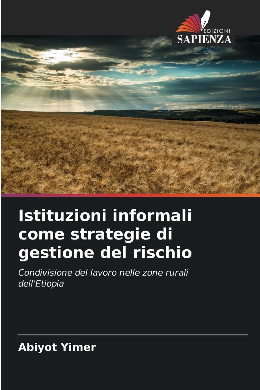Istituzioni informali come strategie di gestione del rischio Law