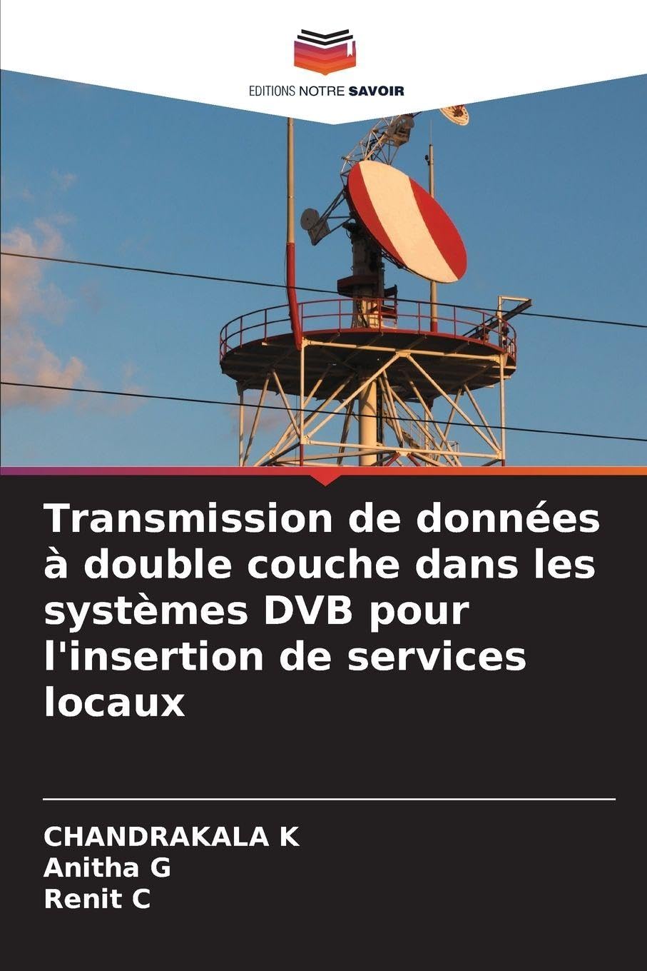Transmission de données à double couche dans les systèmes DVB pour l'insertion de services locaux Business & Technology