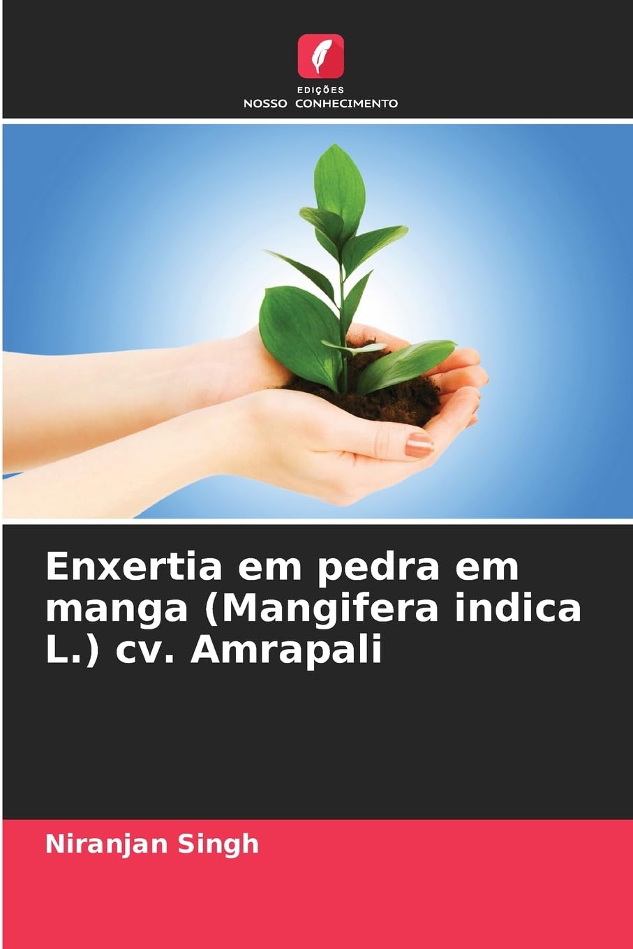 Enxertia em pedra em manga (Mangifera indica L.) cv. Amrapali Manga
