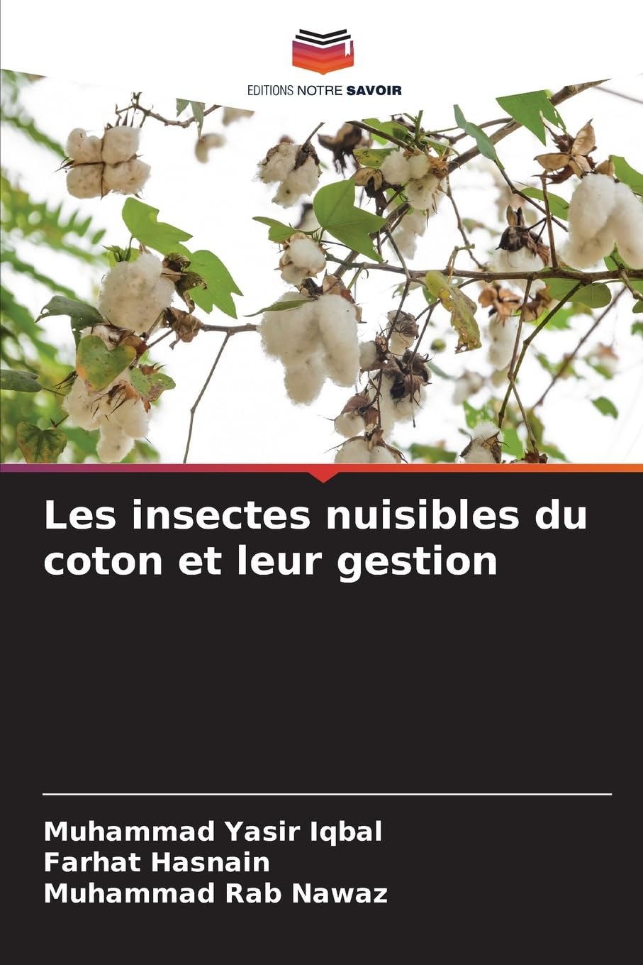 Les insectes nuisibles du coton et leur gestion Natural Sciences