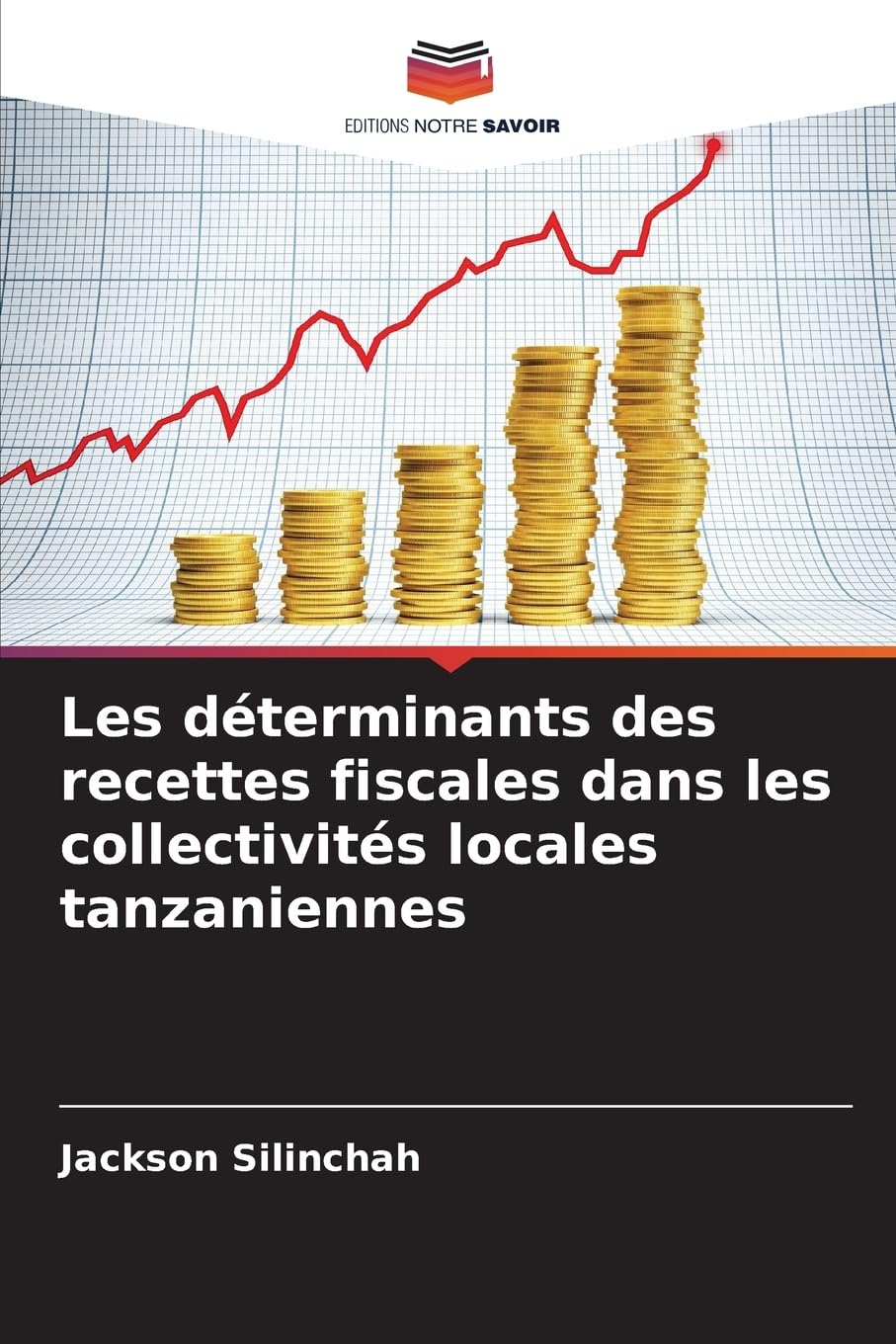 Les déterminants des recettes fiscales dans les collectivités locales tanzaniennes Books