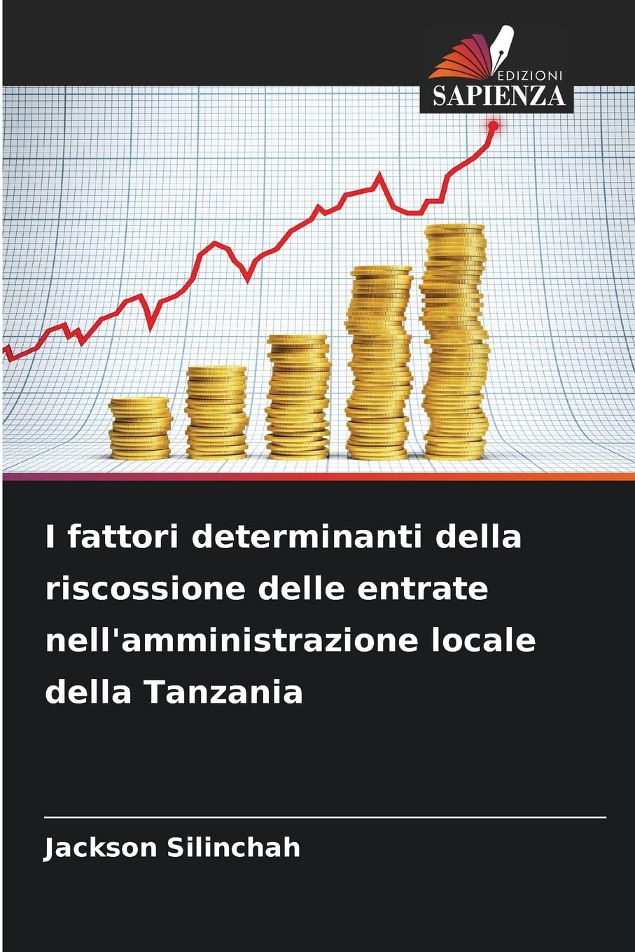 I fattori determinanti della riscossione delle entrate nell'amministrazione locale della Tanzania Books