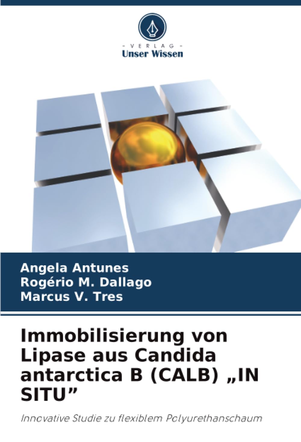 Immobilisierung von Lipase aus Candida antarctica B (CALB) "IN SITU" Natural Sciences