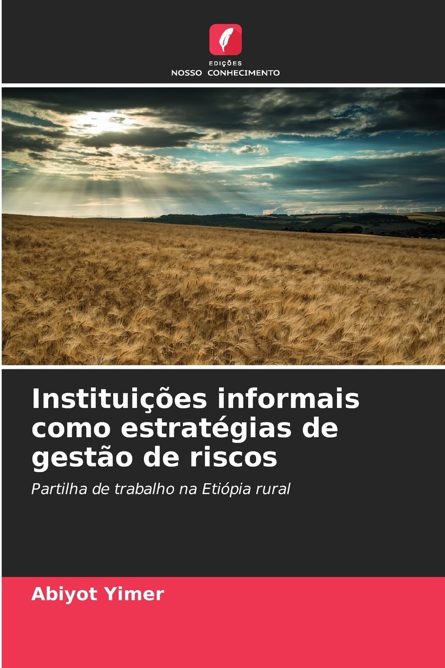 Instituições informais como estratégias de gestão de riscos Law