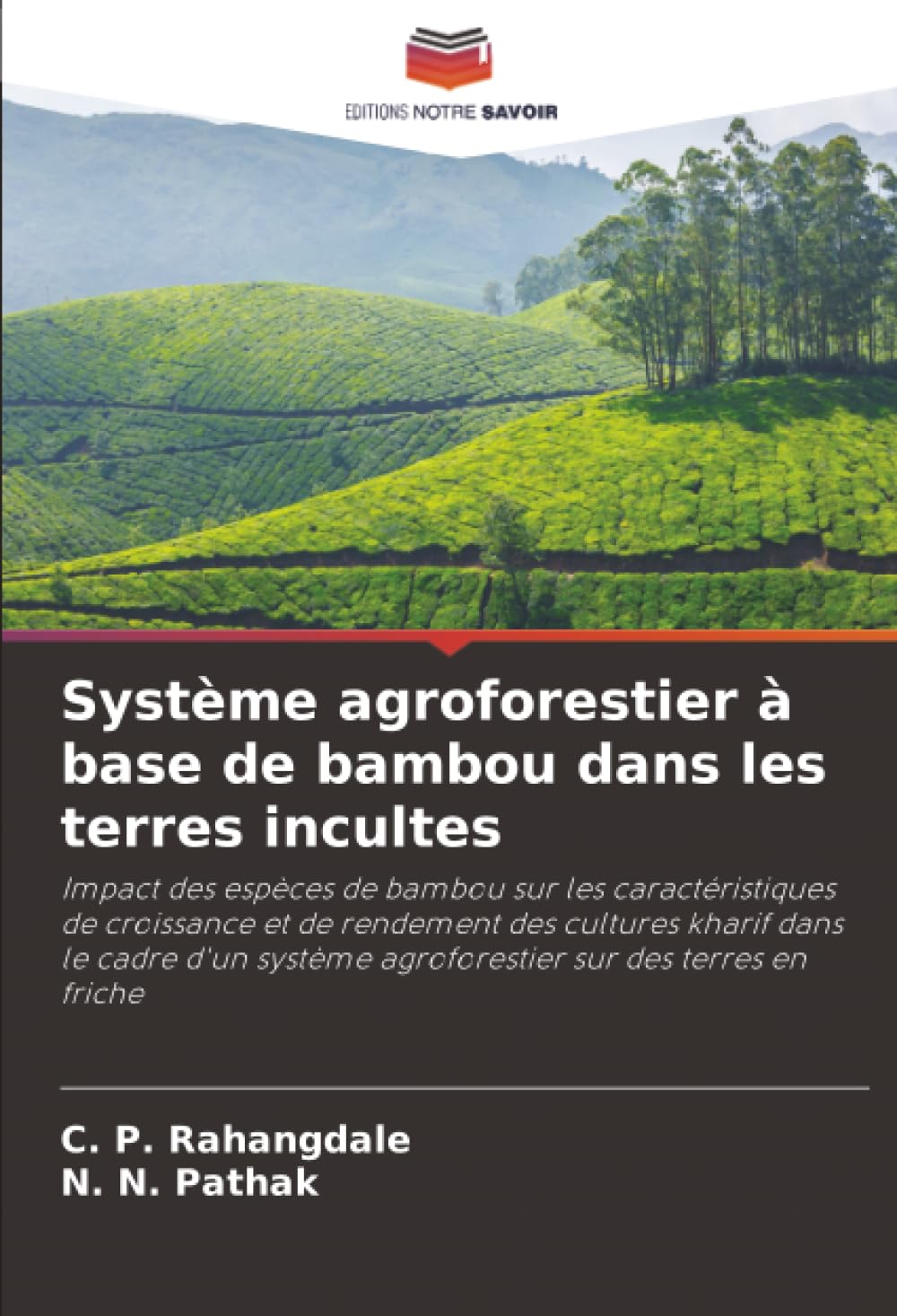 Système agroforestier à base de bambou dans les terres incultes Natural Sciences