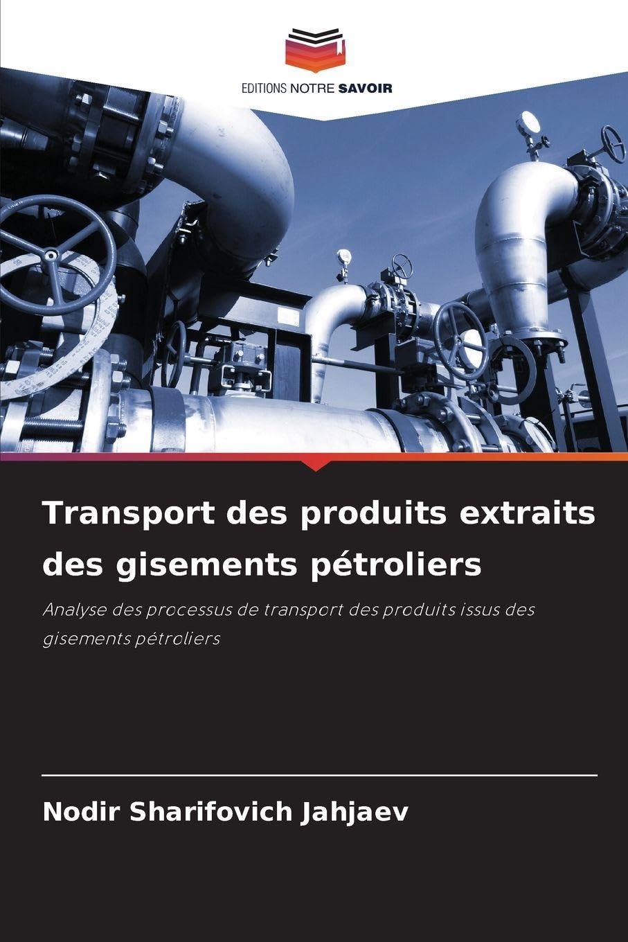 Transport des produits extraits des gisements pétroliers Business & Technology