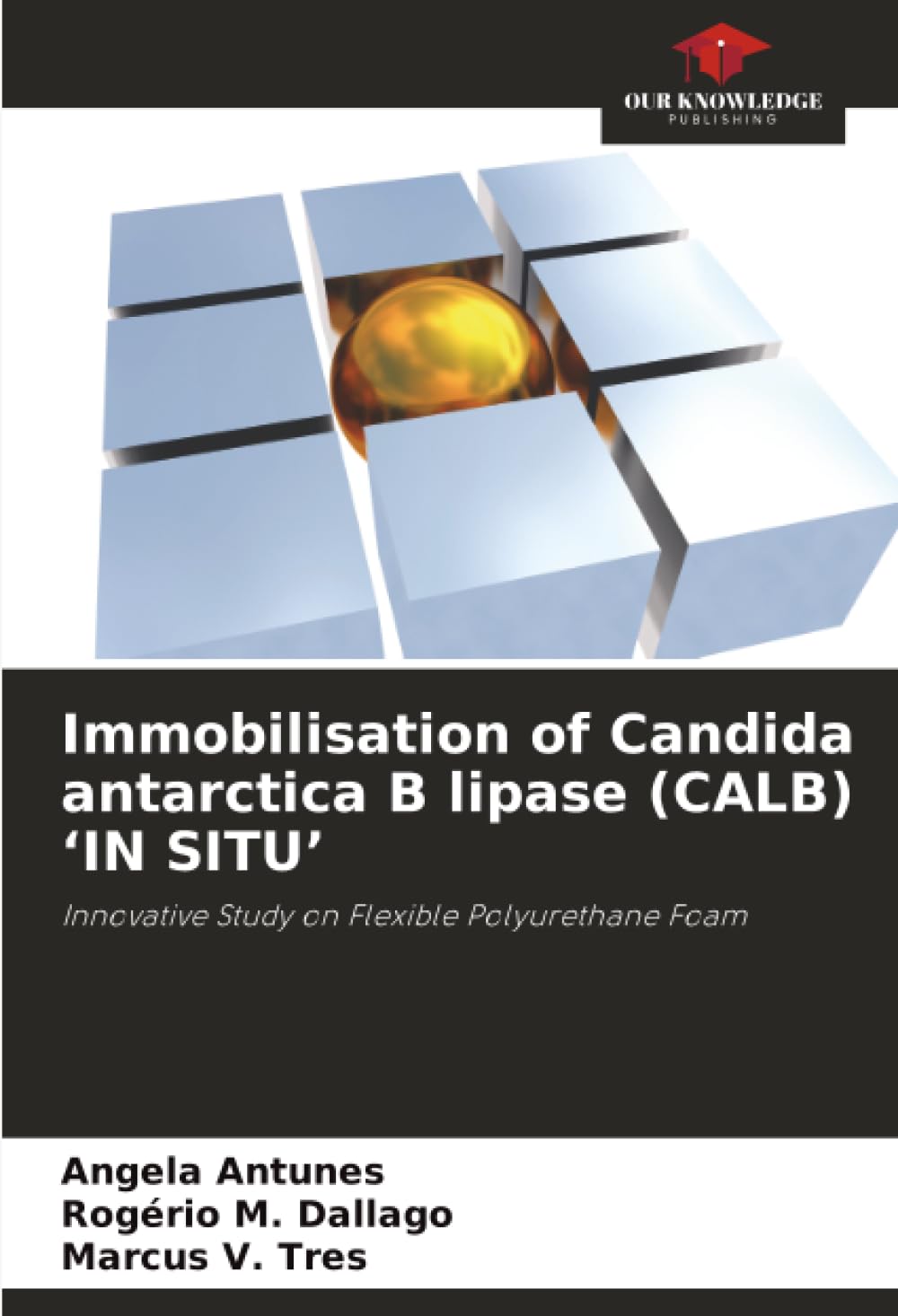 Immobilisation of Candida antarctica B lipase (CALB) 'IN SITU' Natural Sciences