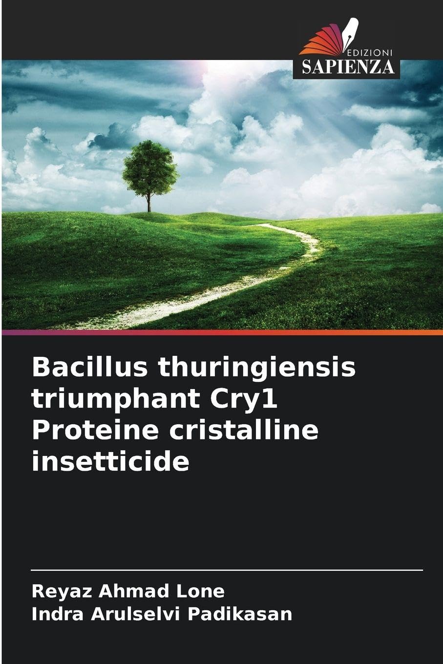 Bacillus thuringiensis triumphant Cry1 Proteine cristalline insetticide Natural Sciences