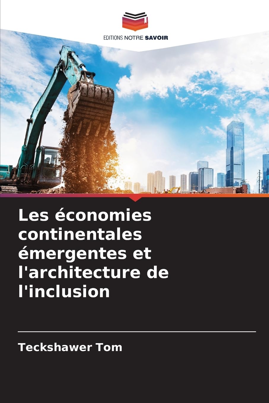 Les économies continentales émergentes et l'architecture de l'inclusion Law