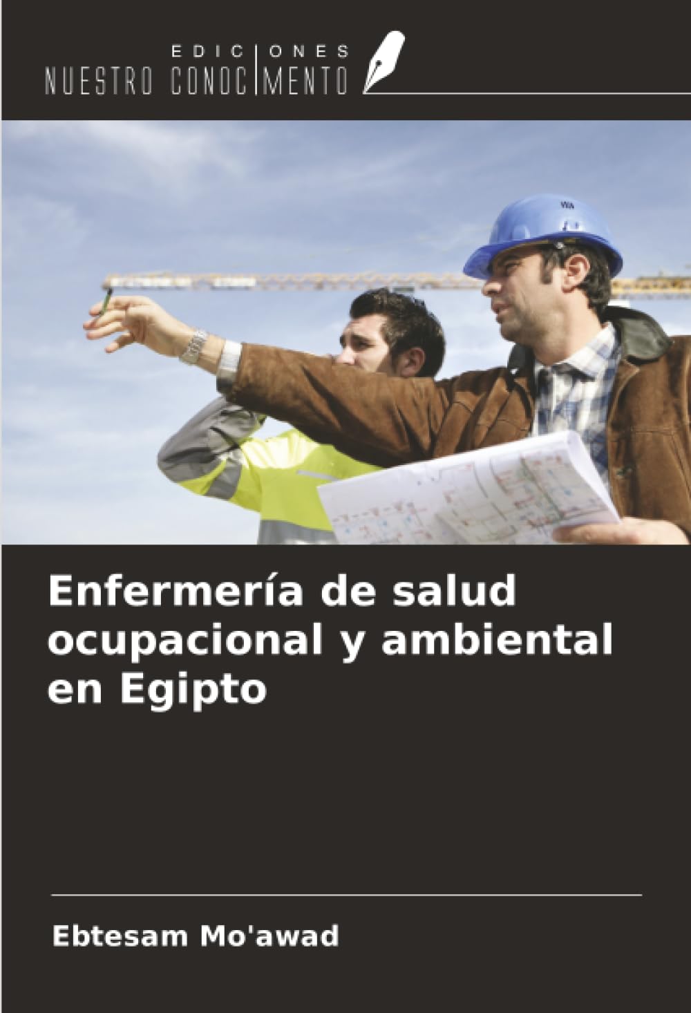 Enfermería de salud ocupacional y ambiental en Egipto Medicine