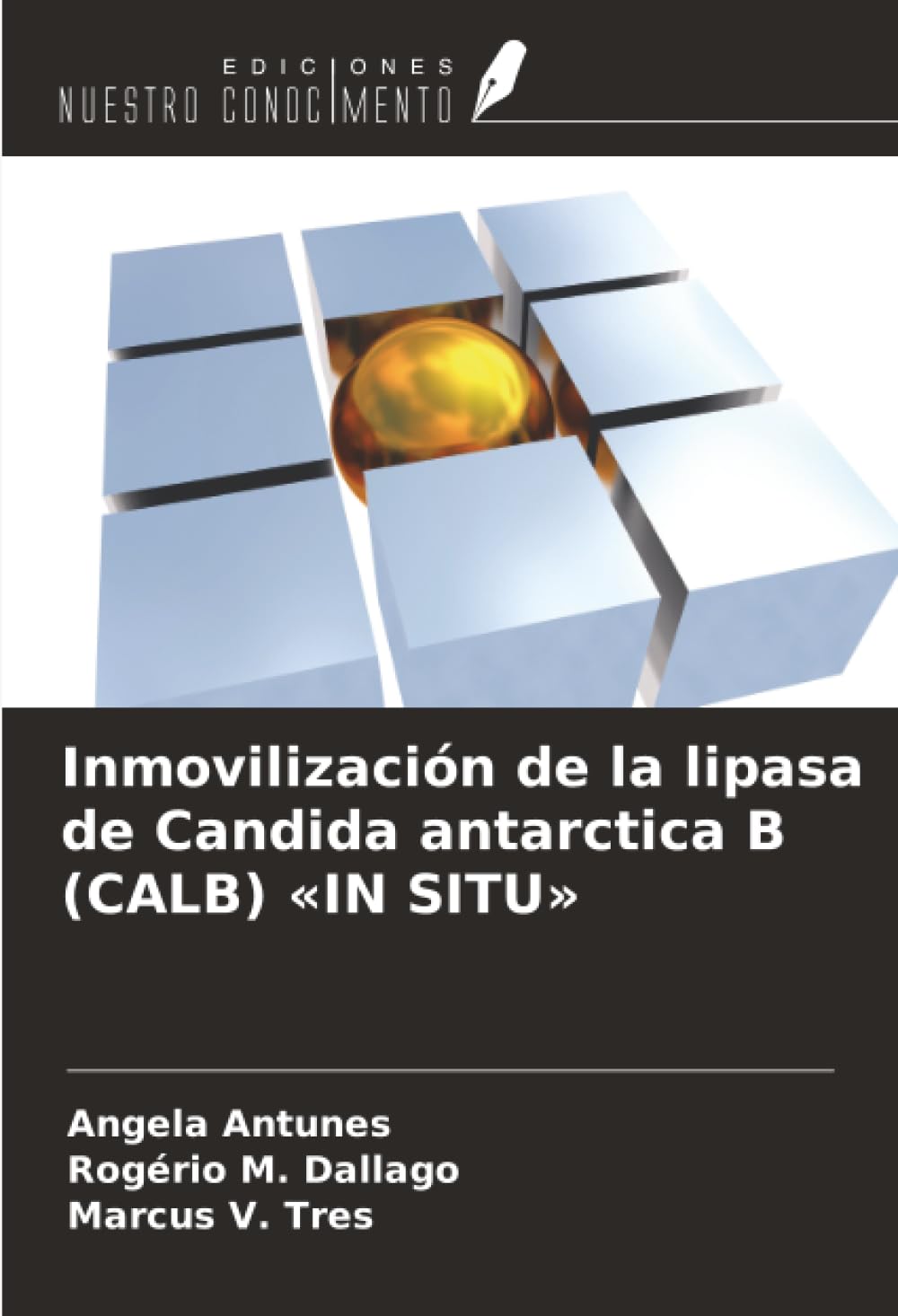 Inmovilización de la lipasa de Candida antarctica B (CALB) 'IN SITU' Natural Sciences
