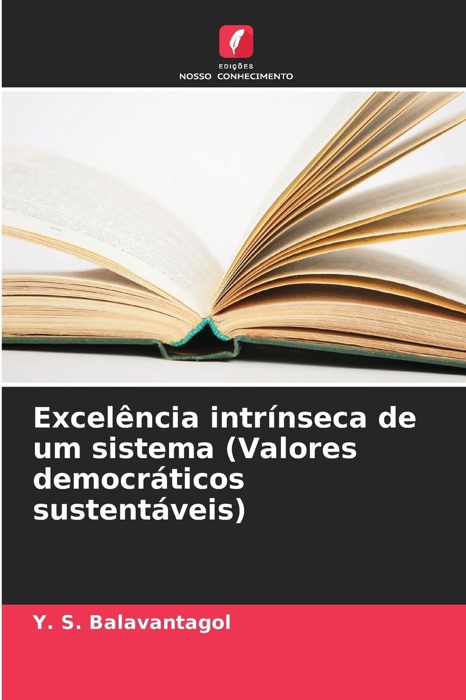 Excelência intrínseca de um sistema (Valores democráticos sustentáveis) Books