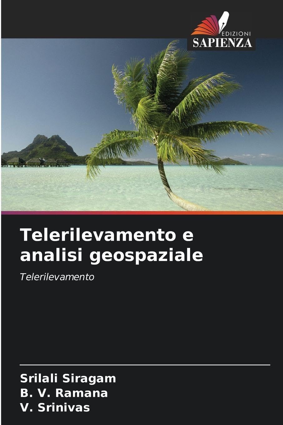 Telerilevamento e analisi geospaziale Business & Technology