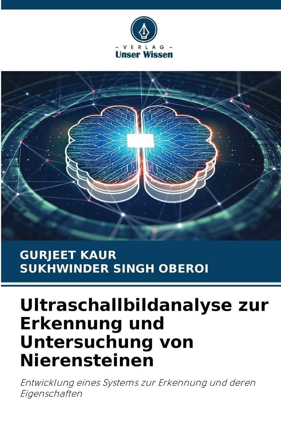 Ultraschallbildanalyse zur Erkennung und Untersuchung von Nierensteinen Business & Technology