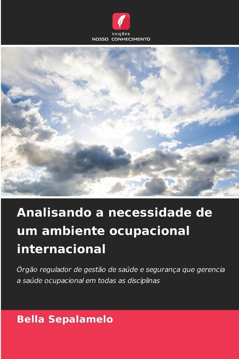 Analisando a necessidade de um ambiente ocupacional internacional Law