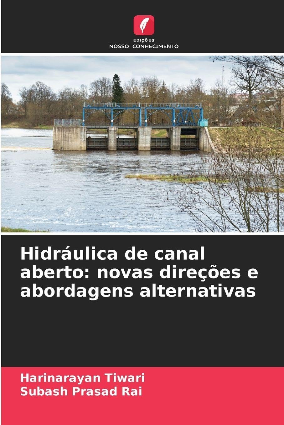 Hidráulica de canal aberto: novas direções e abordagens alternativas Business & Technology