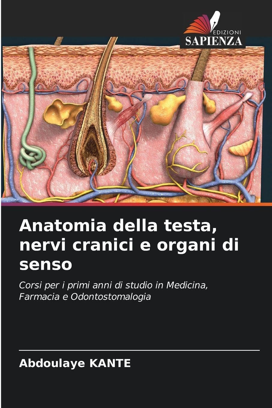 Anatomia della testa, nervi cranici e organi di senso Medicine