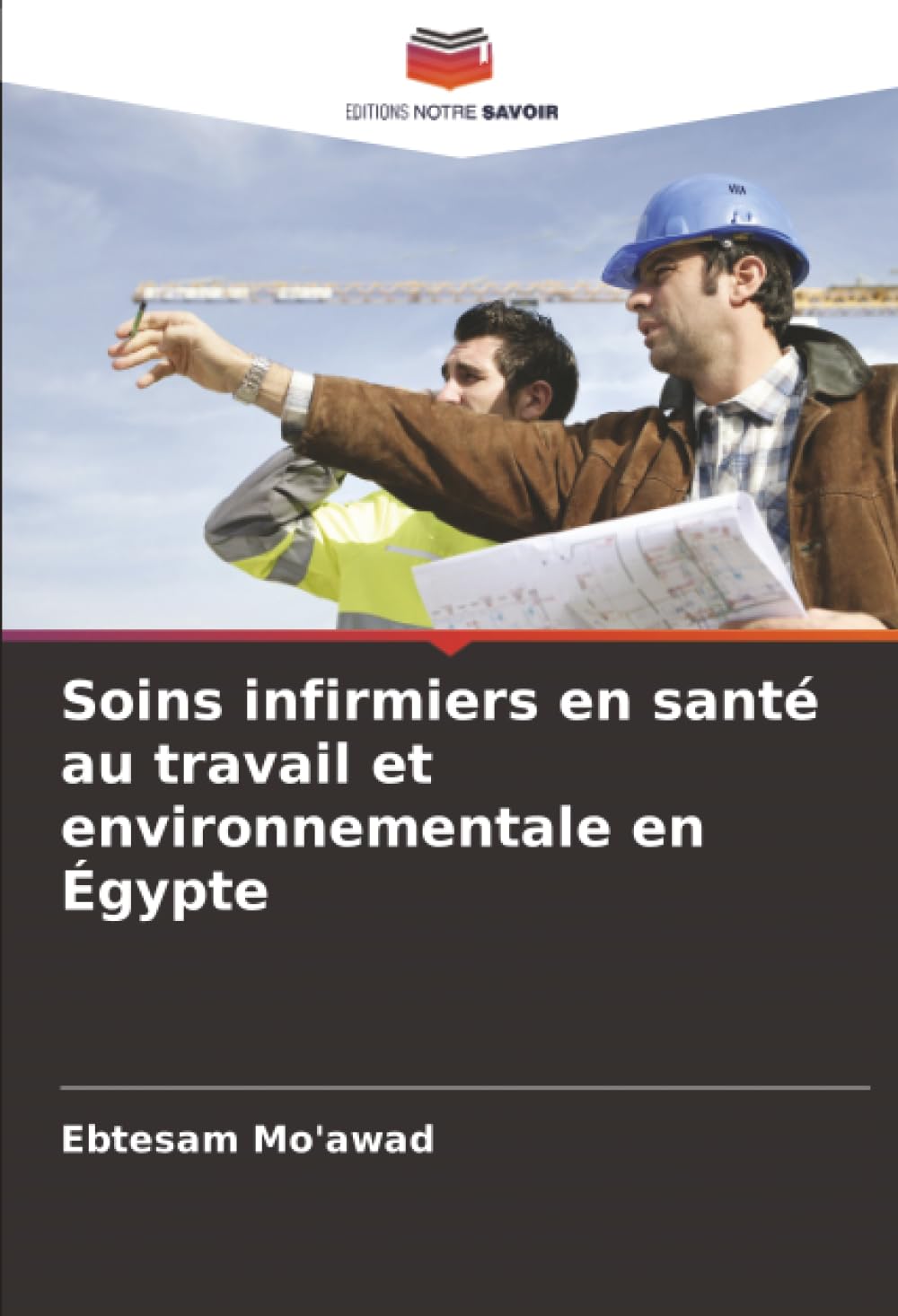 Soins infirmiers en santé au travail et environnementale en Égypte Medicine