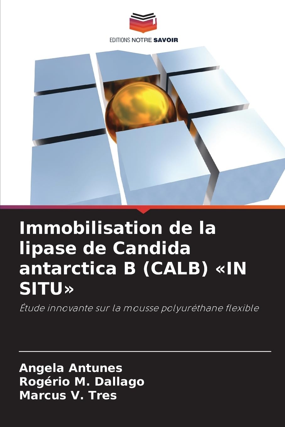 Immobilisation de la lipase de Candida antarctica B (CALB) 'IN SITU' Natural Sciences