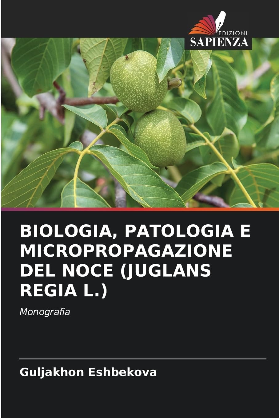 BIOLOGIA, PATOLOGIA E MICROPROPAGAZIONE DEL NOCE (JUGLANS REGIA L.) Natural Sciences