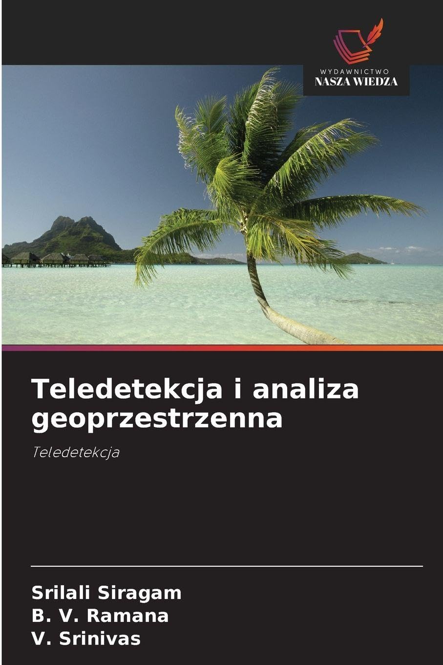 Teledetekcja i analiza geoprzestrzenna Business & Technology