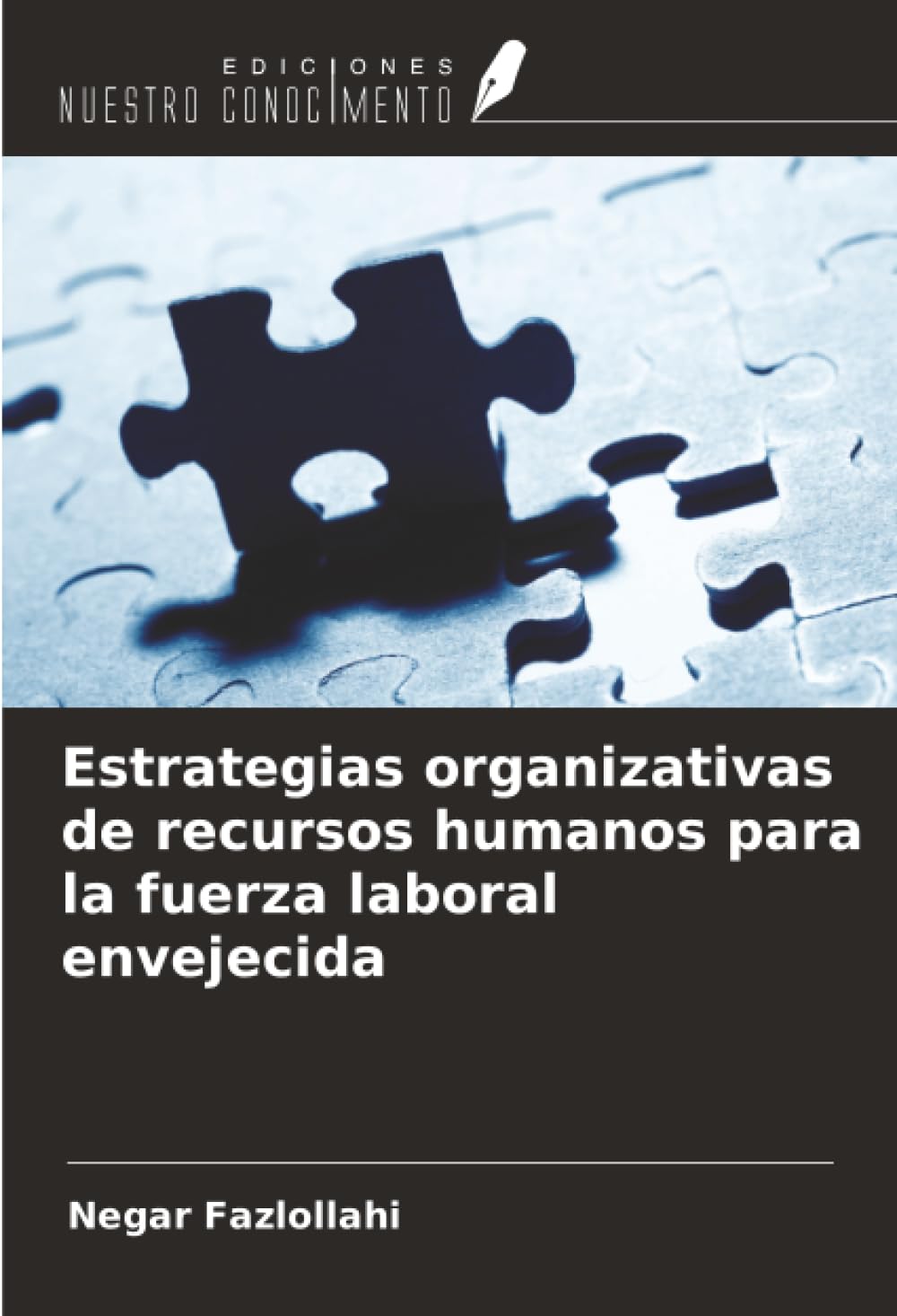 Estrategias organizativas de recursos humanos para la fuerza laboral envejecida Law
