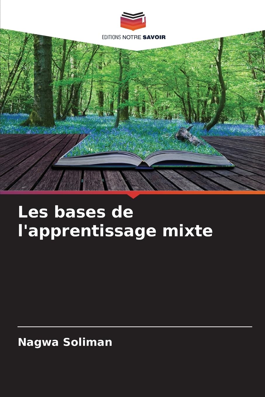 Les bases de l'apprentissage mixte Social Sciences