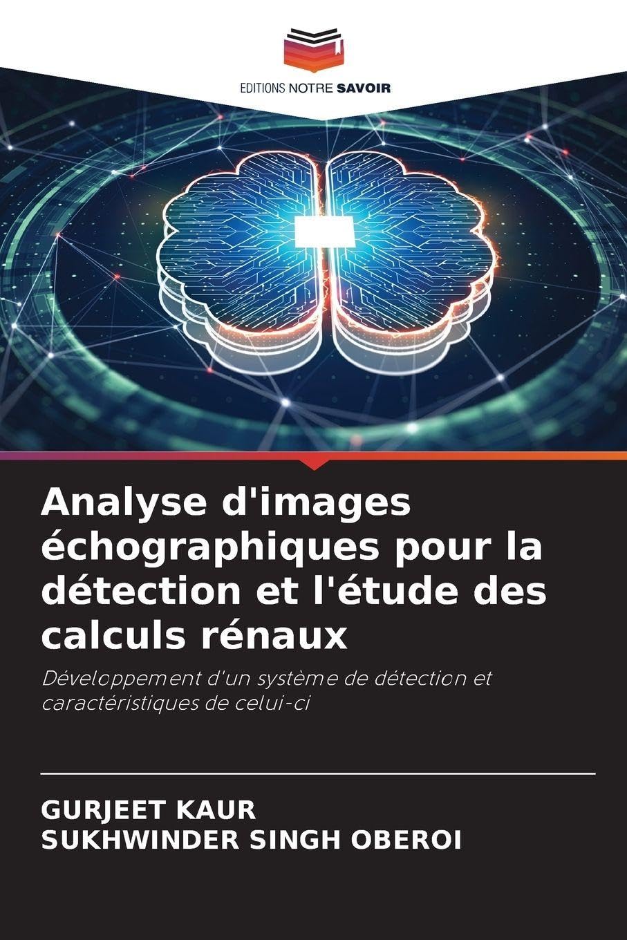 Analyse d'images échographiques pour la détection et l'étude des calculs rénaux Business & Technology