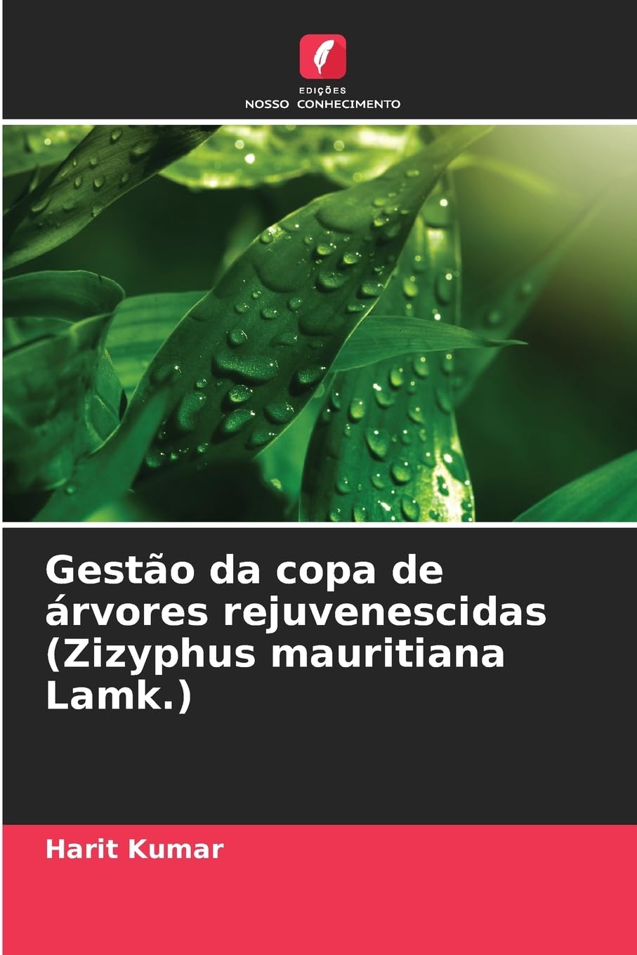 Gestão da copa de árvores rejuvenescidas (Zizyphus mauritiana Lamk.) Natural Sciences