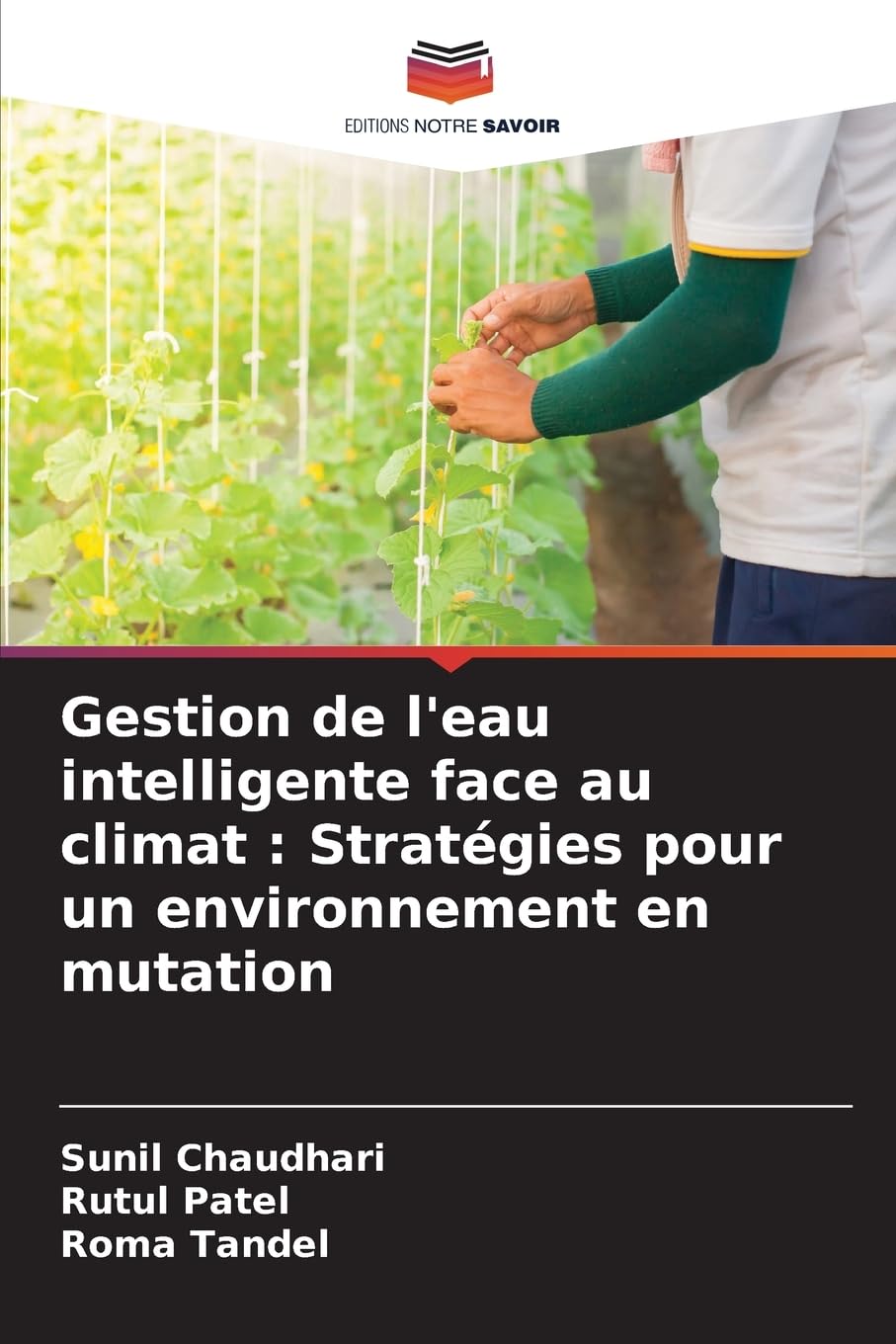 Gestion de l'eau intelligente face au climat : Stratégies pour un environnement en mutation Natural Sciences