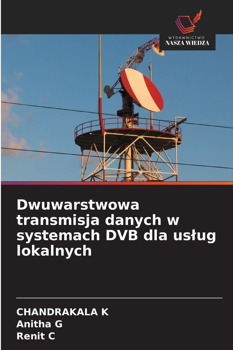 Dwuwarstwowa transmisja danych w systemach DVB dla us¿ug lokalnych Business & Technology