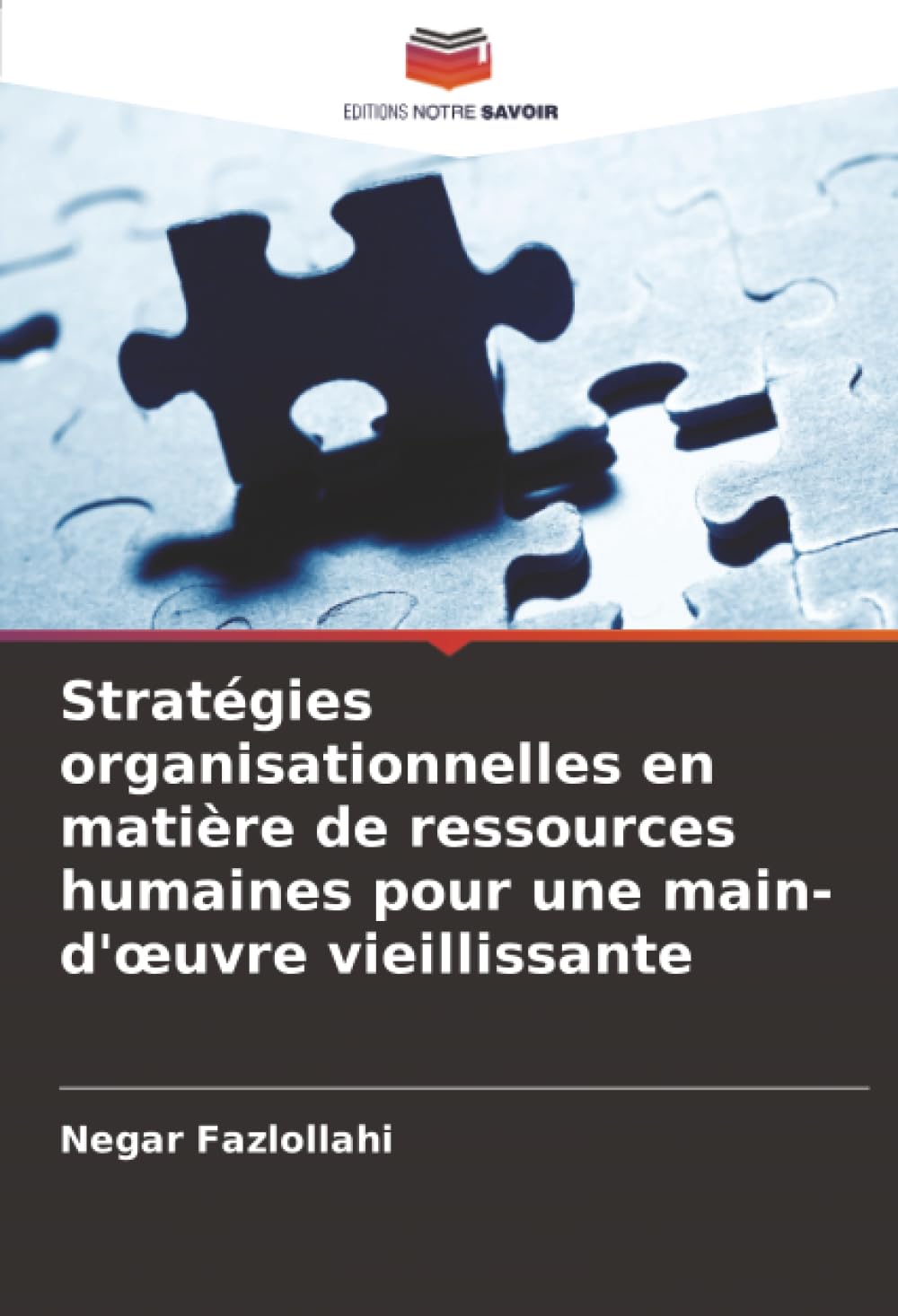 Stratégies organisationnelles en matière de ressources humaines pour une main-d'¿uvre vieillissante Law