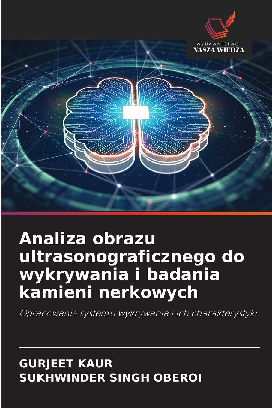 Analiza obrazu ultrasonograficznego do wykrywania i badania kamieni nerkowych Business & Technology