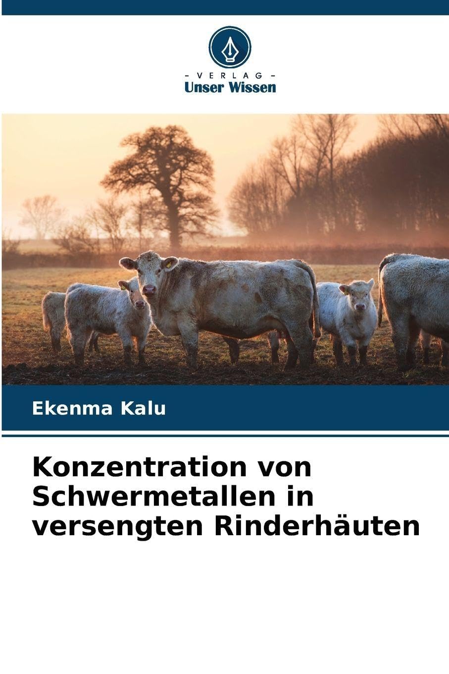 Konzentration von Schwermetallen in versengten Rinderhäuten Medicine