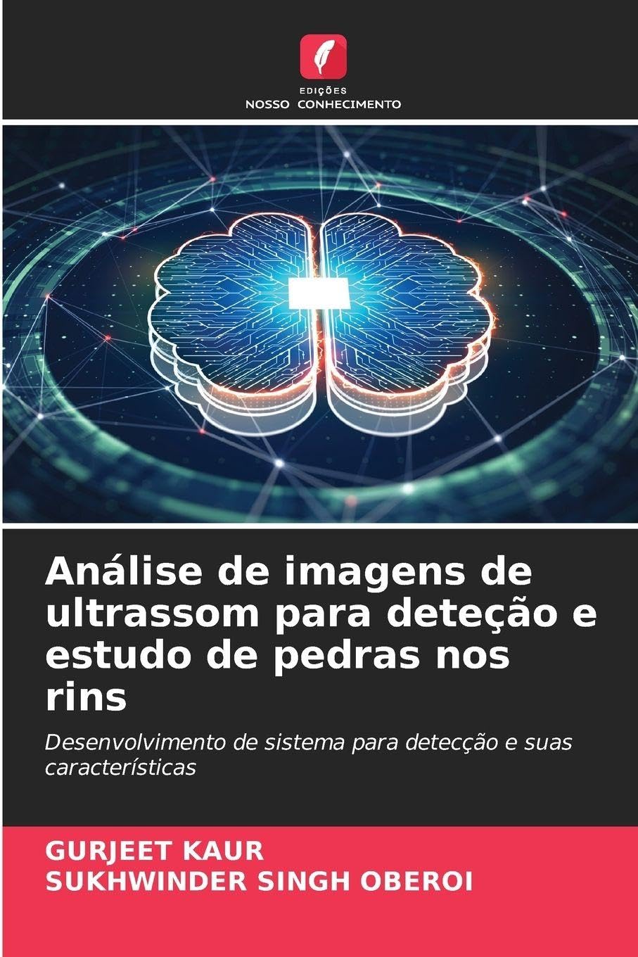 Análise de imagens de ultrassom para deteção e estudo de pedras nos rins Business & Technology