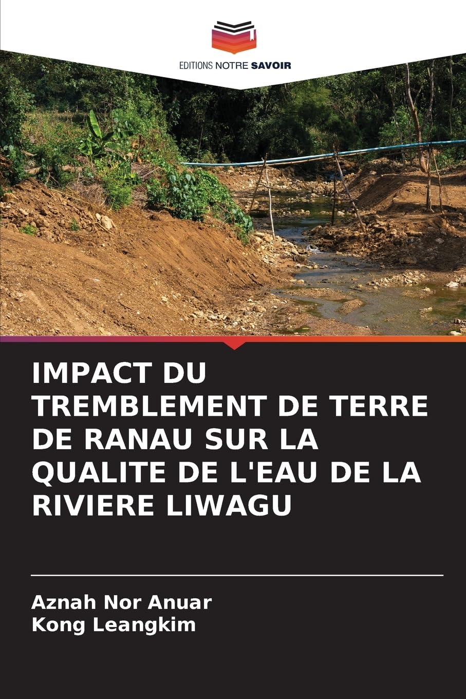 IMPACT DU TREMBLEMENT DE TERRE DE RANAU SUR LA QUALITE DE L'EAU DE LA RIVIERE LIWAGU Business & Technology