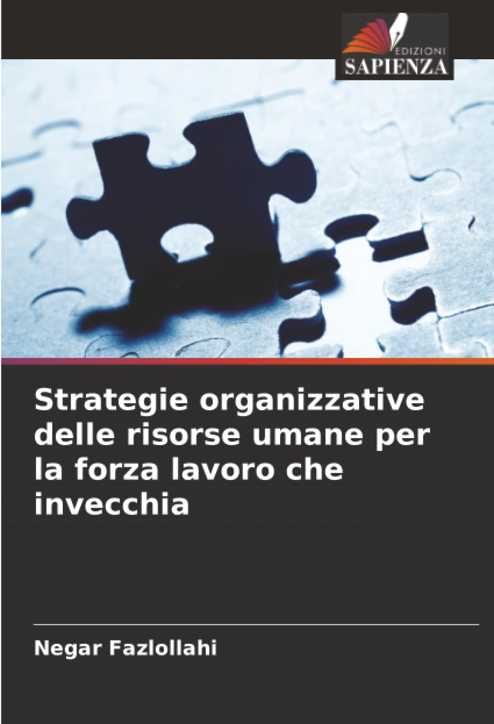 Strategie organizzative delle risorse umane per la forza lavoro che invecchia Law